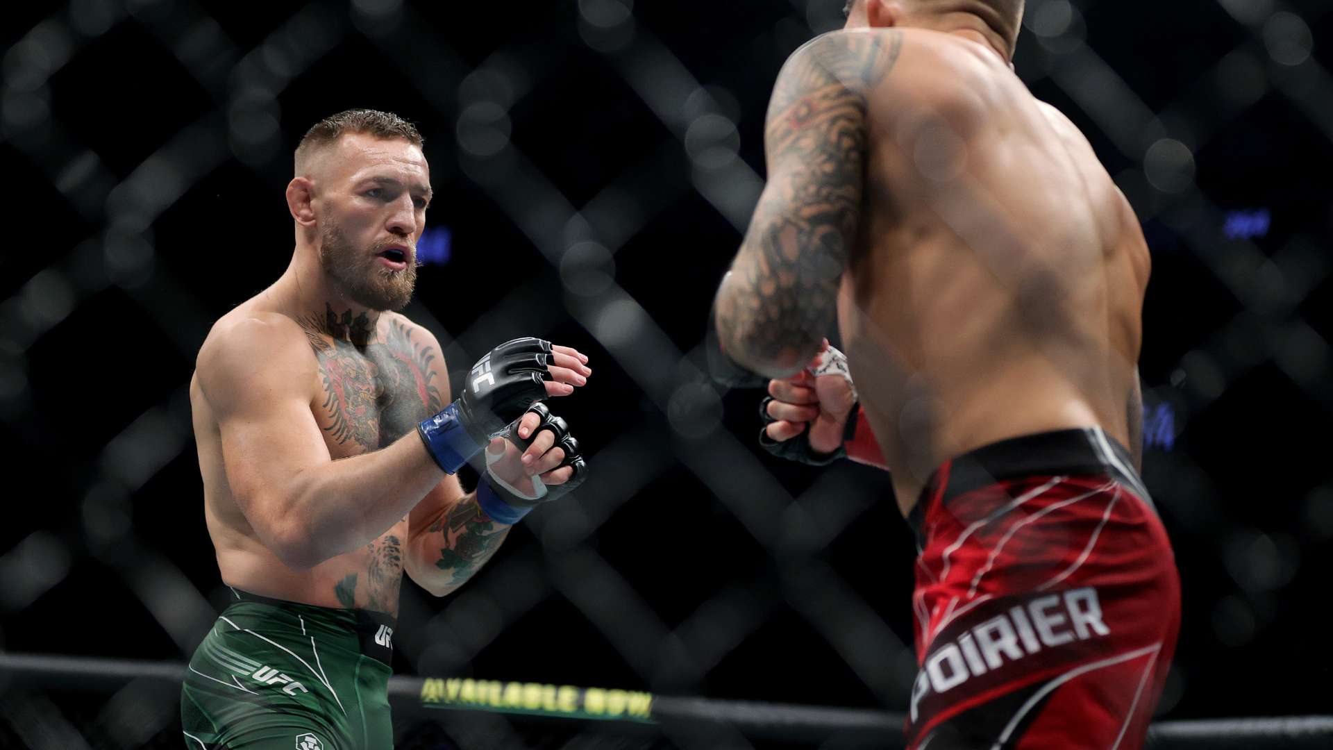 理解维特斯 理解维特斯