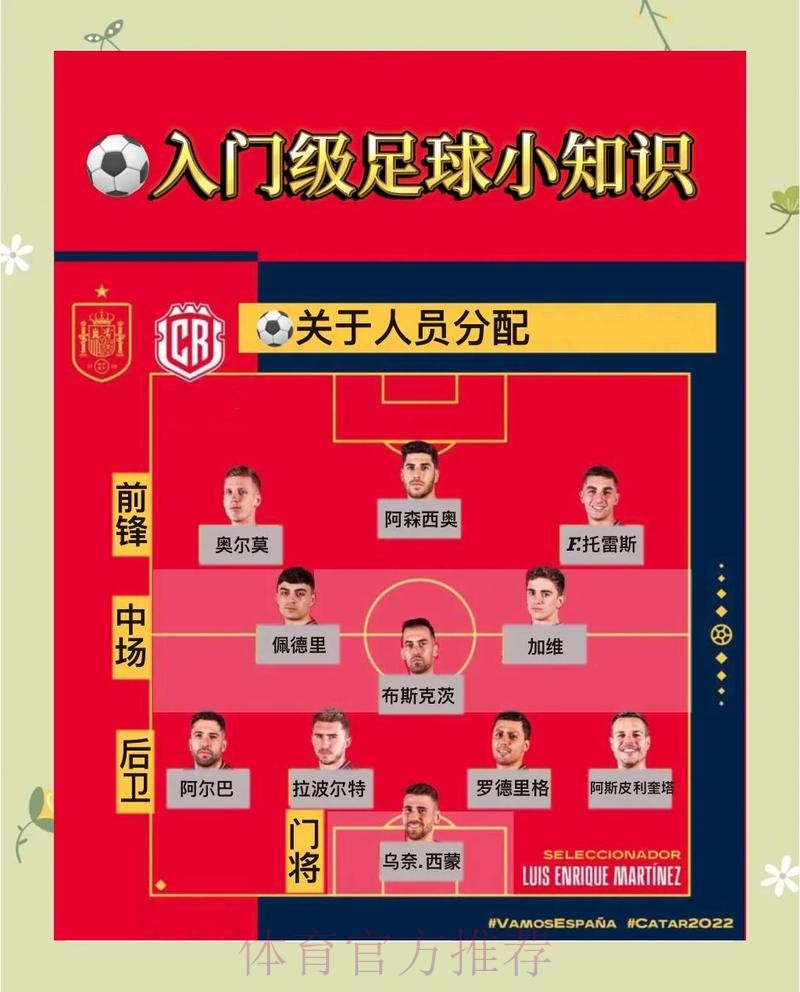 世界杯投注安全指南，关键要点不可忽视